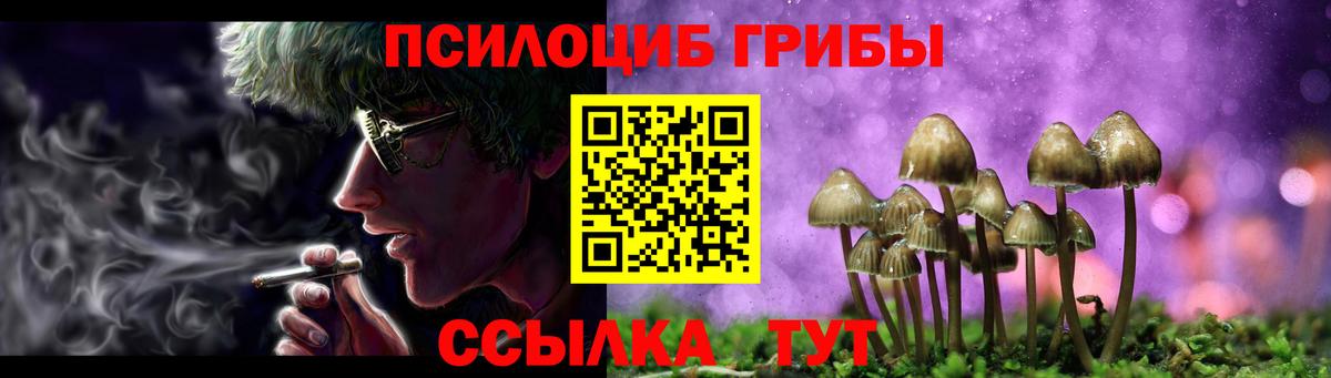 Псилоцибиновые грибы GOLDEN TEACHER  Вход с VPN  где купить наркоту  Михайловск 